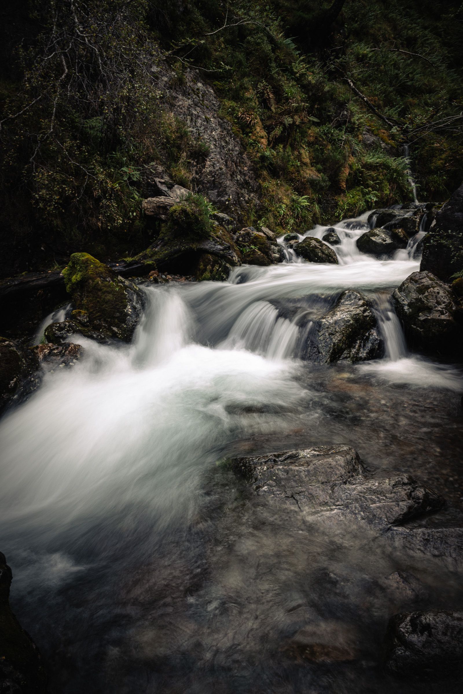 A river tumbling over mossy rocks in a dark wooded gorge, smoothed by a long exposure