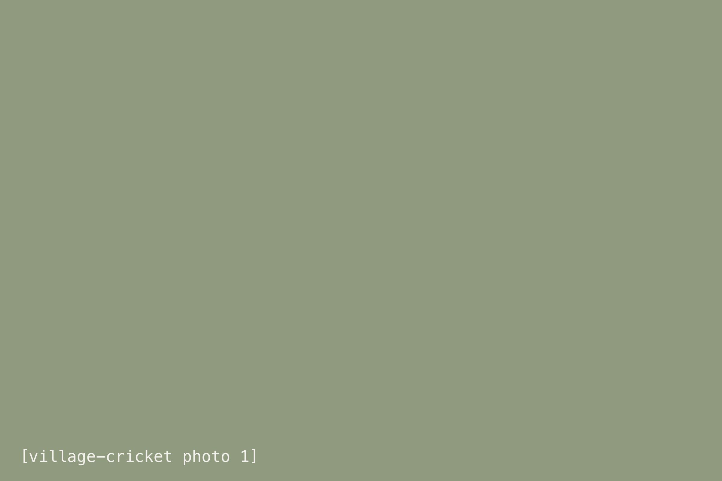 [Alt text: describe the photo]