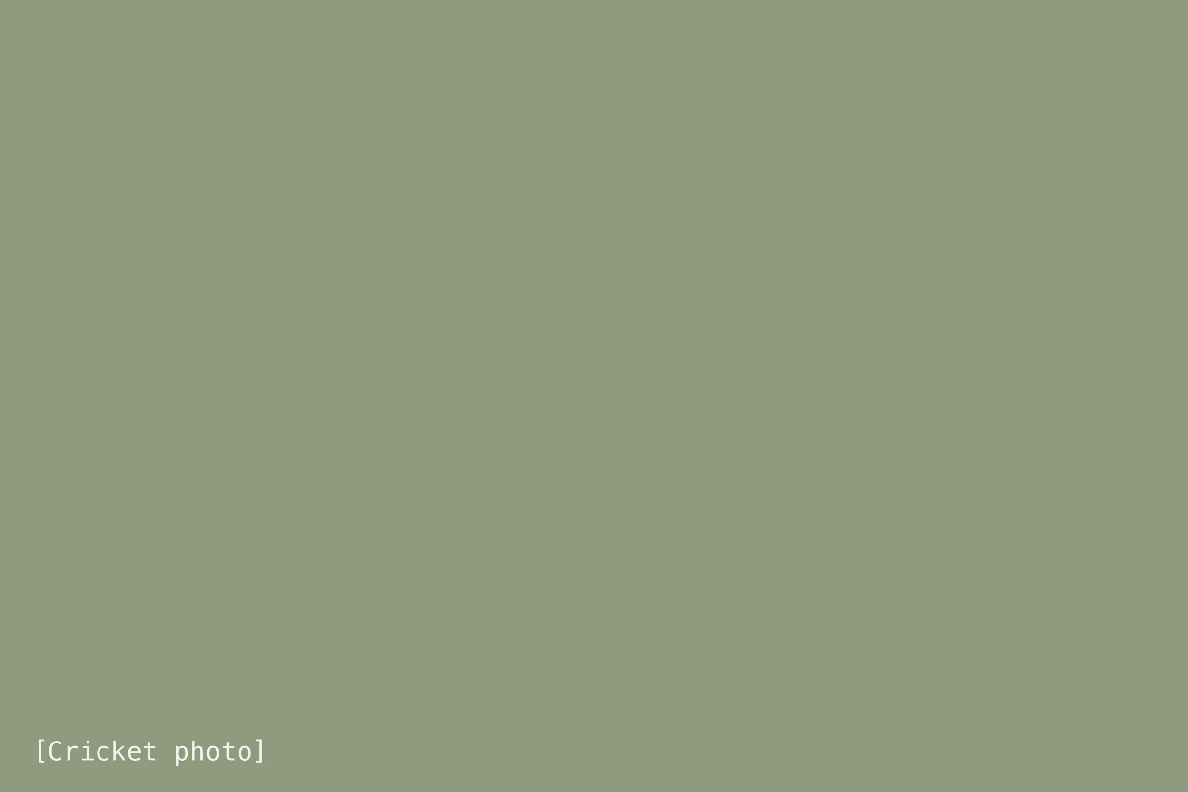 [Cover alt text: describe the photo]